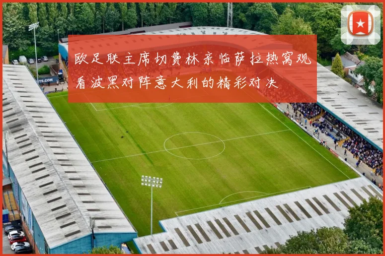 欧足联主席切费林亲临萨拉热窝观看波黑对阵意大利的精彩对决
